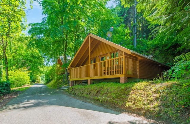 Timber lodge set in an elevated position with views of the lake.