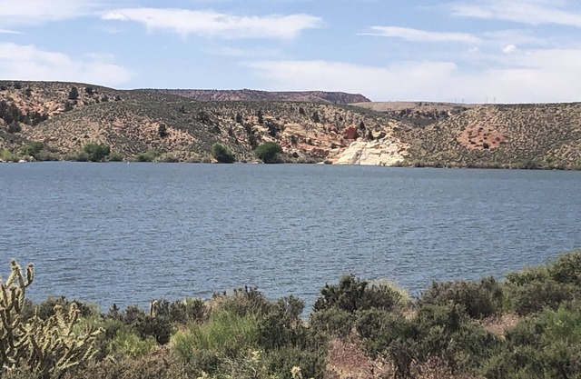 Tiny Gem near Snow Canyon