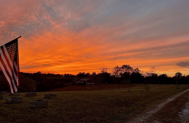 Tiny Home; Mini Farm Getaway—Pond, walking trail & pet-friendly! 15 mins to town