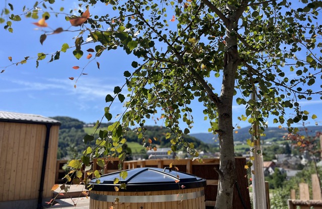 Tiny House Orion, Nordic bath - Le Domaine des Constellations, Alsace