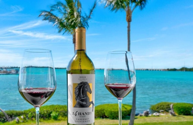🏝FALL FLING🏝 Oceanfront Tiny Villa in the 💙 of the Florida Keys 🐬 Encounters 🐚