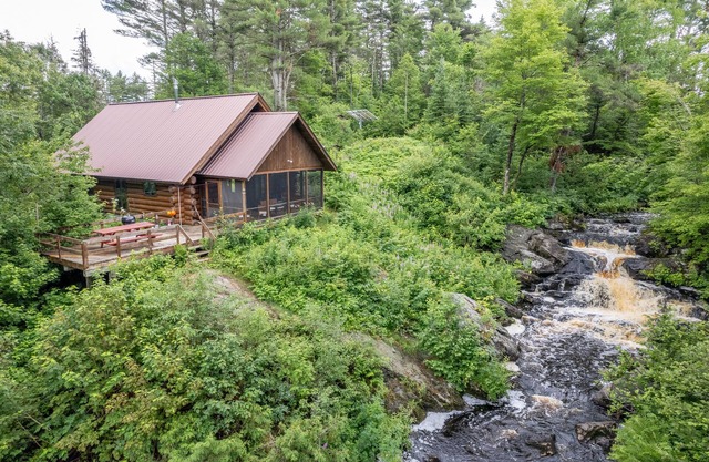 TIOGA FALLS CABIN: Très isolée! Cascades! 80 acres, animaux acceptés!