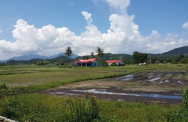Tok Bidin Chambre chez l'habitant Langkawi