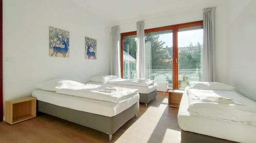 Tolstov Apartments - City Apartments with 2 , 3 and 6 Rooms - 15 Min to Messe DUS and Old Town DUS