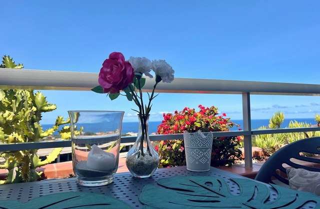 Appartements 5 ***** exclusifs / vue mer, beaux et parfaitement équipés ...