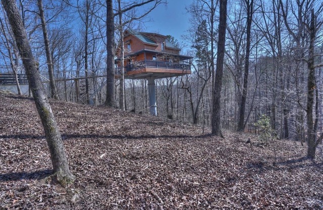 Top of the Line Treehouse Cabin