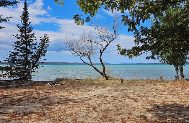 Torch Lake with Sandy beach frontage