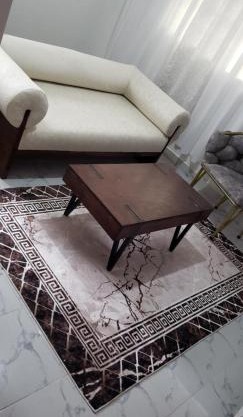 TrafinaHomes 06