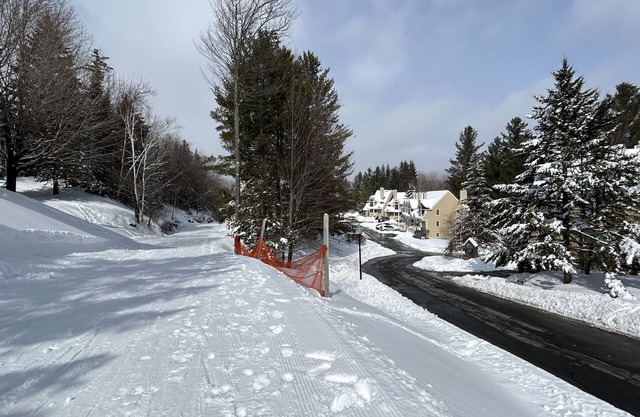 Trailside Ski In and Out Townhome