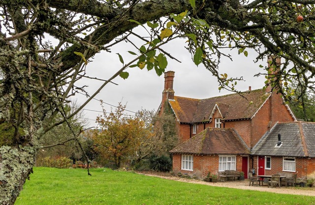 Tranquil Forest Retreat in Brockenhurst