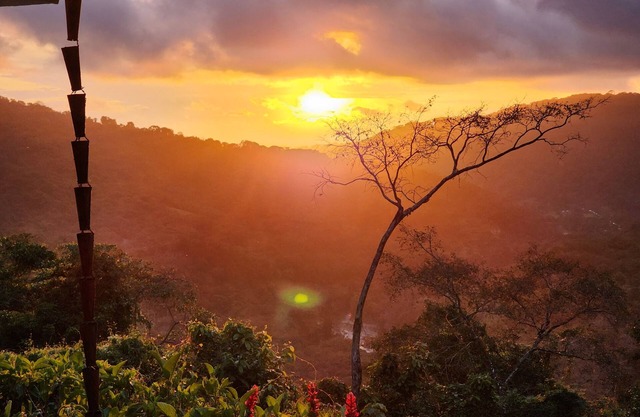 Tranquil Jungle Stay with Breathtaking views, Minutes to Dominical Beach