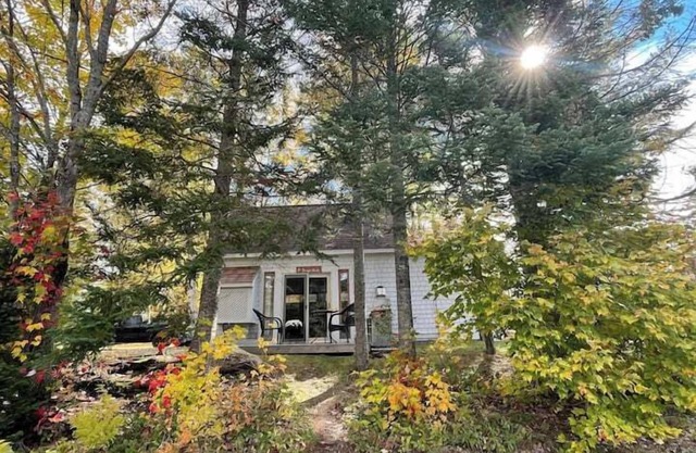 Tranquil Cottage on Private Pond