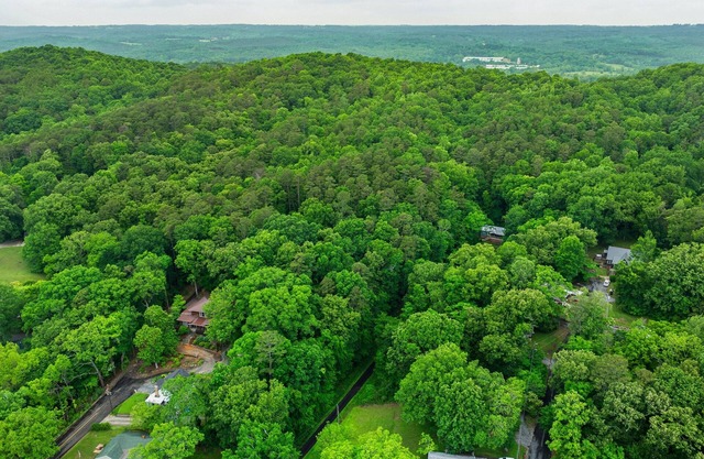 Tranquility Hideaway Cottage | Downtown Fort Payne | 2+ Wooded Acres | Wi-Fi