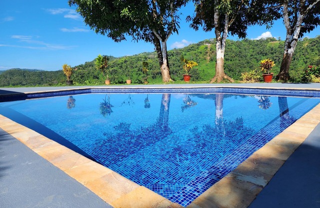 Tranquility overlooking the Jungle and Sea