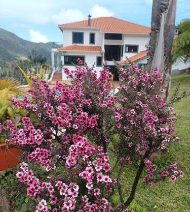 Traveller's House