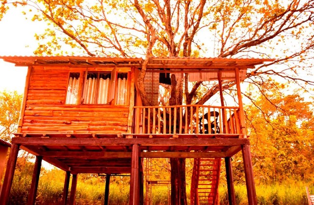 Tree House 4 Nature Lovers