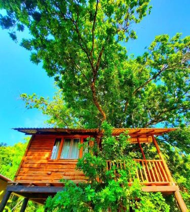 Tree House 4 Nature Lovers
