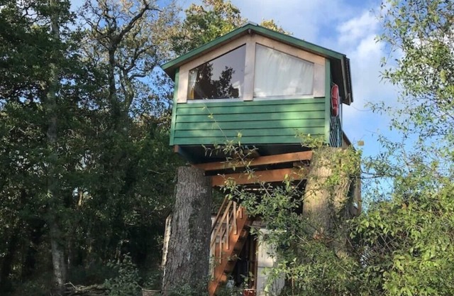 Tree house and shepherds hut