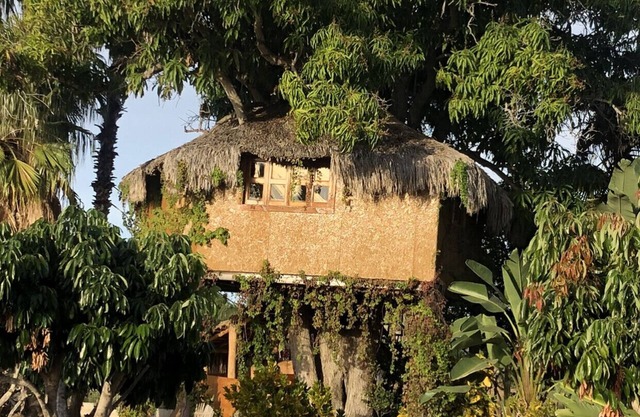 CASA ÁRBOL situé sur Rancho Danza del Sol