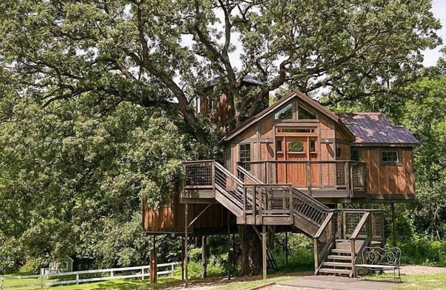 Cabane dans les arbres Cabane dans les arbres Mansion Lofty Lodge