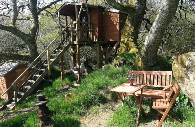 Tree House near Eden Project