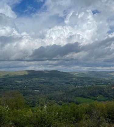 Tree Top View of lookout mountain
