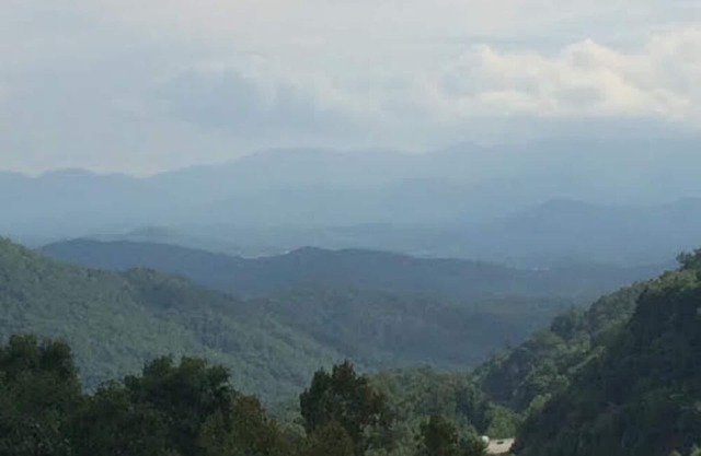 LES CÔTÉS DES ARBRES @ WATAUGA VISTA