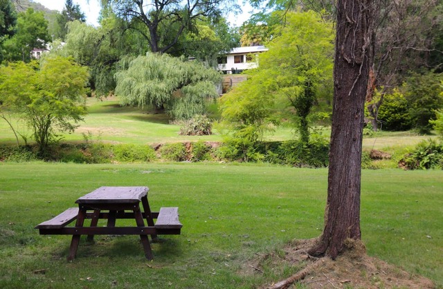 Tree View Cottage - Tranquil on the creek