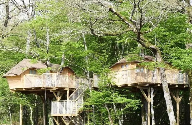 Cabane Dans Les Arbres 4 Personnes