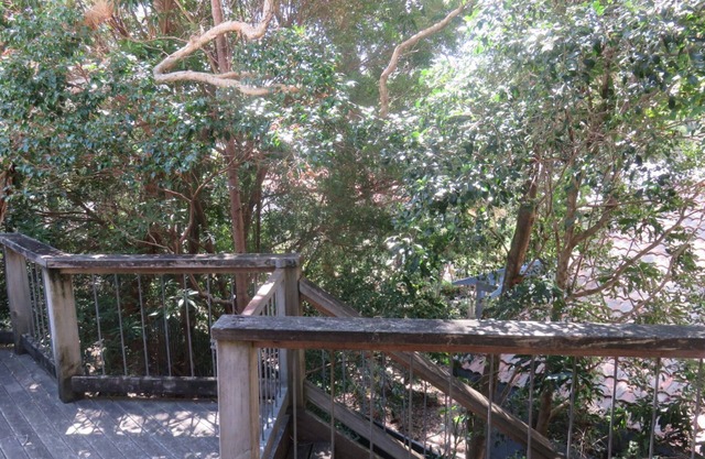 TREEHOUSE - ARAKOON GRANDE MAISON FAMILIALE