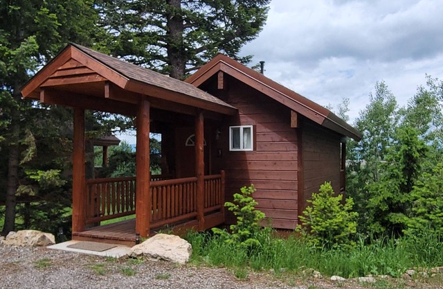 "Cabane dans les arbres!" Près de Yellowstone! NOUVEAU refuge confortable pour 2!
