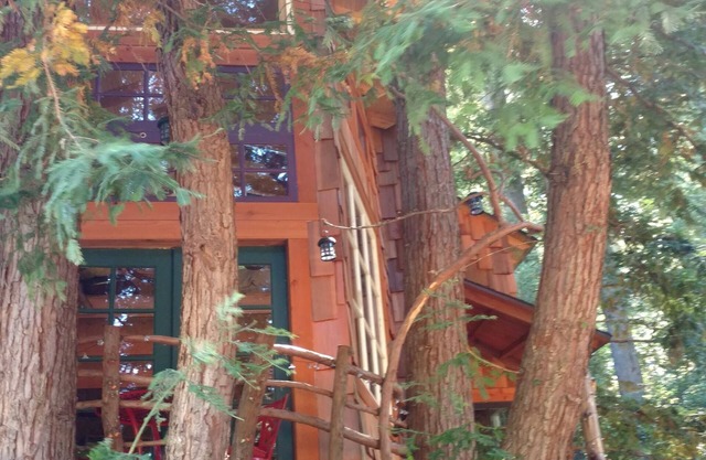 Cabane dans les arbres dans les montagnes, les séquoias, les plages et la Silicon Valley de Santa Cruz
