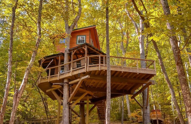 Glamping Getaway, Entire Treehouse Resort!