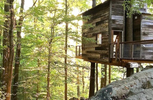 Treetop Hideaways: Luna Loft