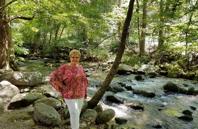 Treetops Resort-Gatlinburg 1 Bdrm/1Bath On Roaring Fork Stream