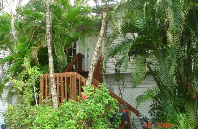Treetops Private Cozy Tranquil Cottage / Imperial River w / Dock, la faune, les kayaks