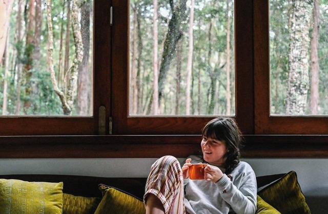Treetops - Your Rainforest Retreat Surround yourself with nature.