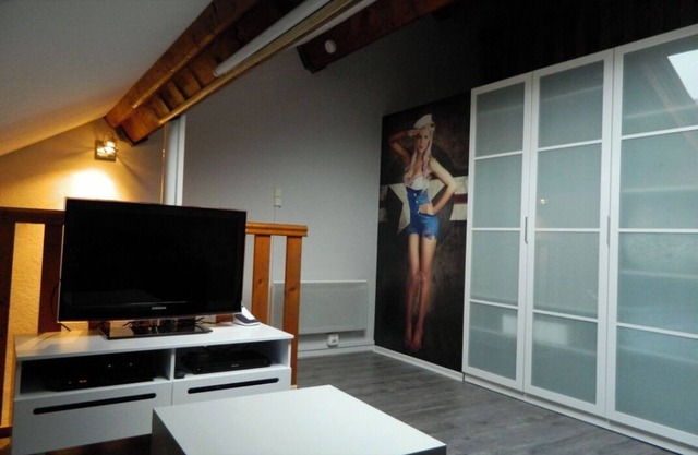 Triplex Type Loft, entièrement rénové, ascenseur, 6 pers, 2 SDB, Idéal famille