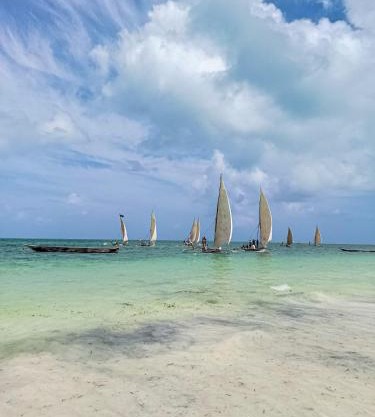 Tropical Beach Studios