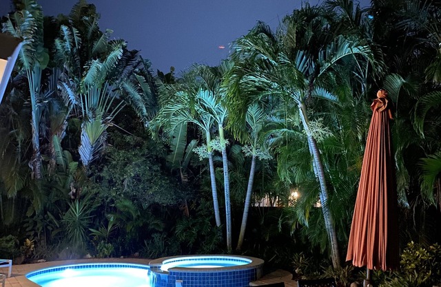 Maison de piscine chauffée Tropical Dream