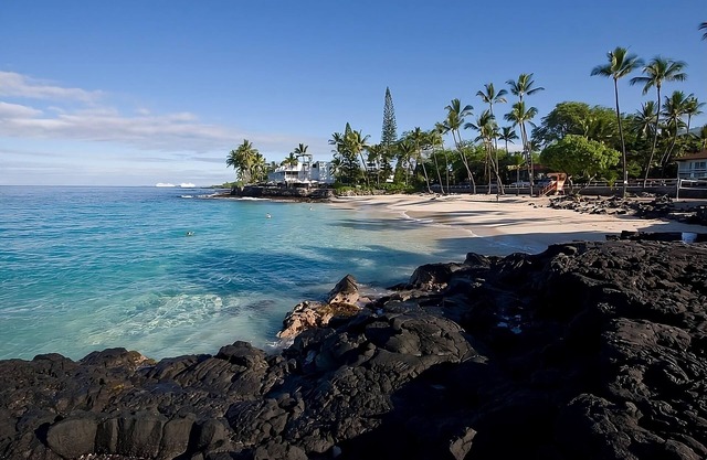 Tropical Escape l 2 Rooms, Beach Access, Free Bikes, Pool & Pet-Friendly Stay