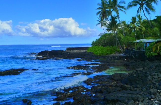 Meilleur rapport qualité-prix à Kona! Incroyable vue sur l'océan! Tomber amoureux de Kona!