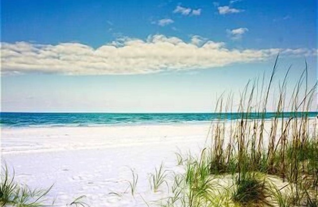 Tropical Pass-A-Grille Beach Drifts