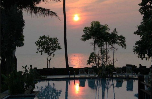 Jardin tropical supérieur près de la plage