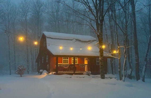 Tug Hill Cabin - Redfield NY - Motoneige, VTT, pêche au saumon, détente