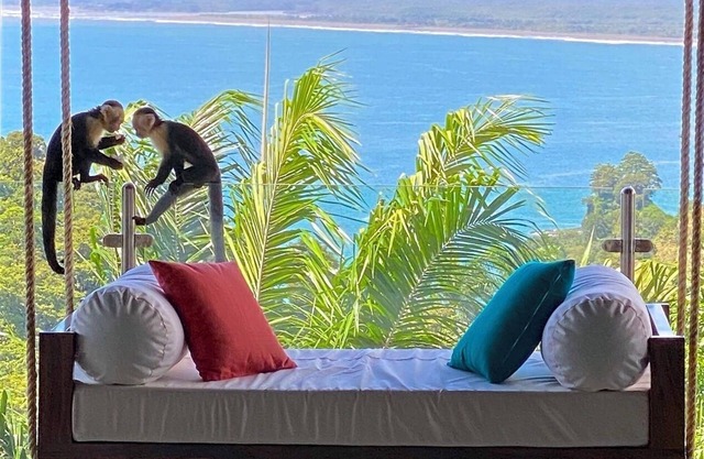 Tulemar Resort - Salty Breeze - Villa Premium 2 Chambres avec Vue sur l'Océan