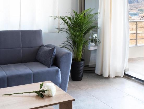 Tulipa Suites