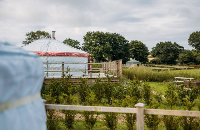 Turkey Dog - A luxury couples+ Yurt on a stunning historic estate near Newquay. Dog friendly
