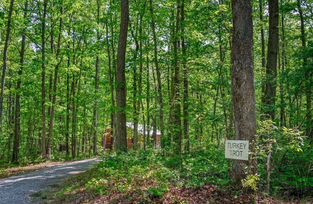 Turkey Trot-cozy cabin, centrally located w/hot tub & fire pit