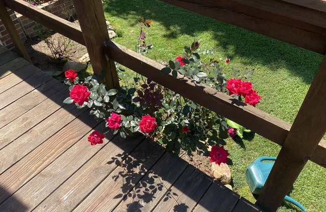 Old Fort❤️ 2br/1ba Hidden Gem💎10 min to Black Mtn-5⭐️relaxing getaway